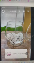 Load and play video in Gallery viewer, Sake Glass beer cold cherry blossoms
